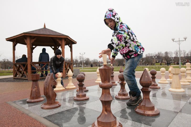 В поселении Рязановское прошел шахматный турнир среди детей