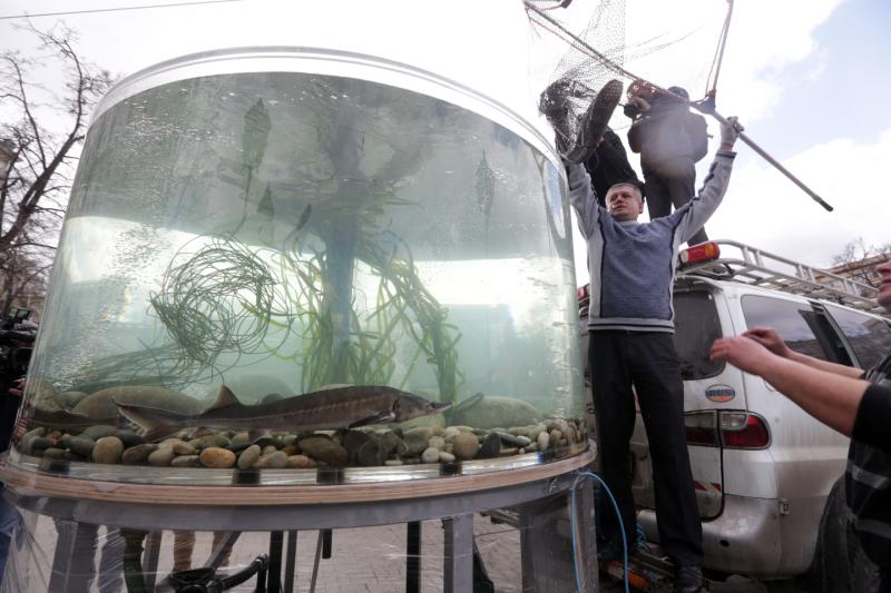 Москвичи увидят рыб с человеческими зубами