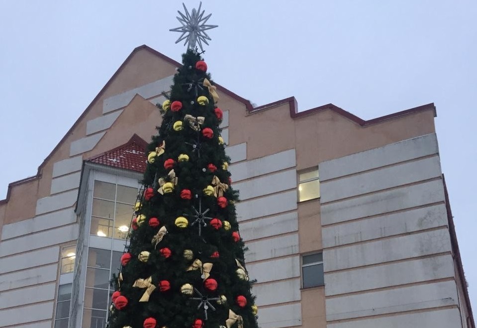 Новогодние елки установили в Рязановском