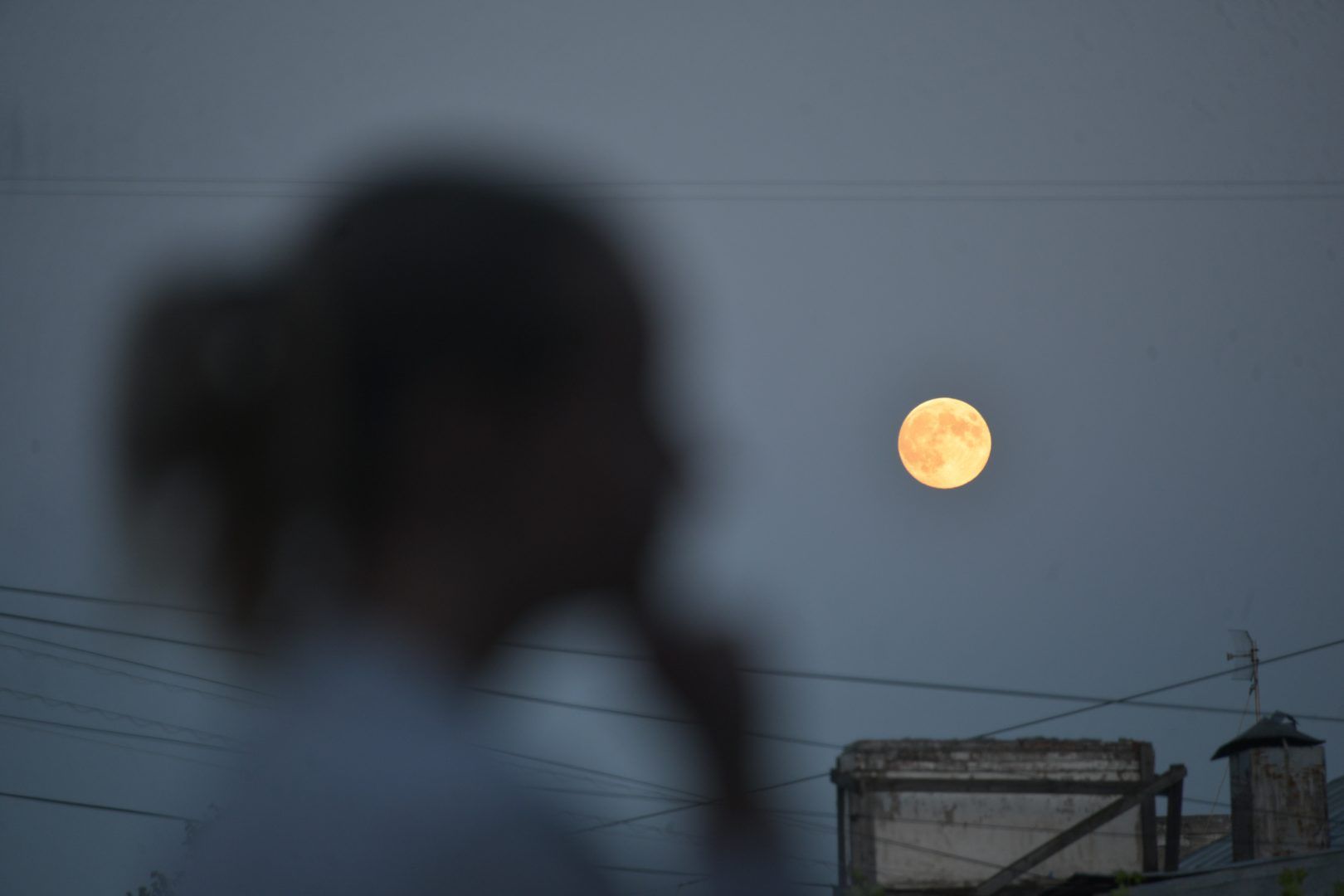 Луна примет участие в весеннем параде. Фото: Наталья Феоктистова