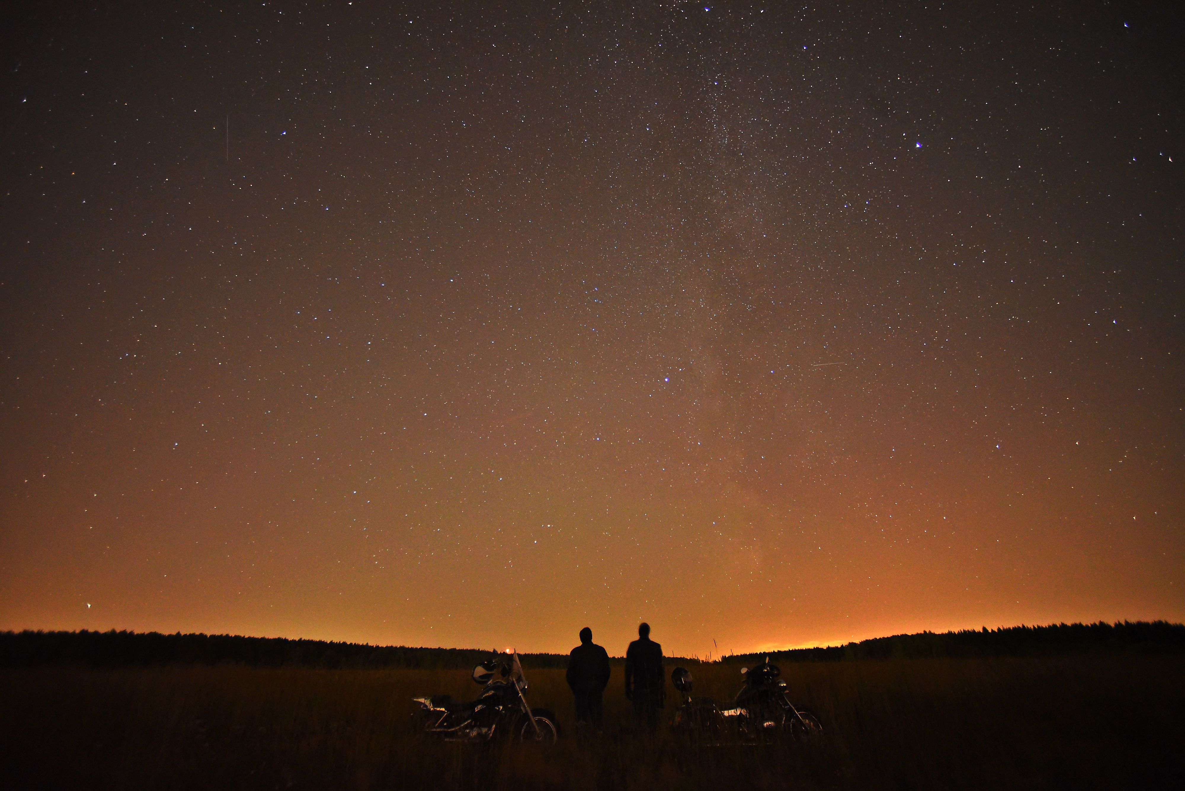 В этом году ожидается до 20 метеоров в час. Фото: Александр Кожохин