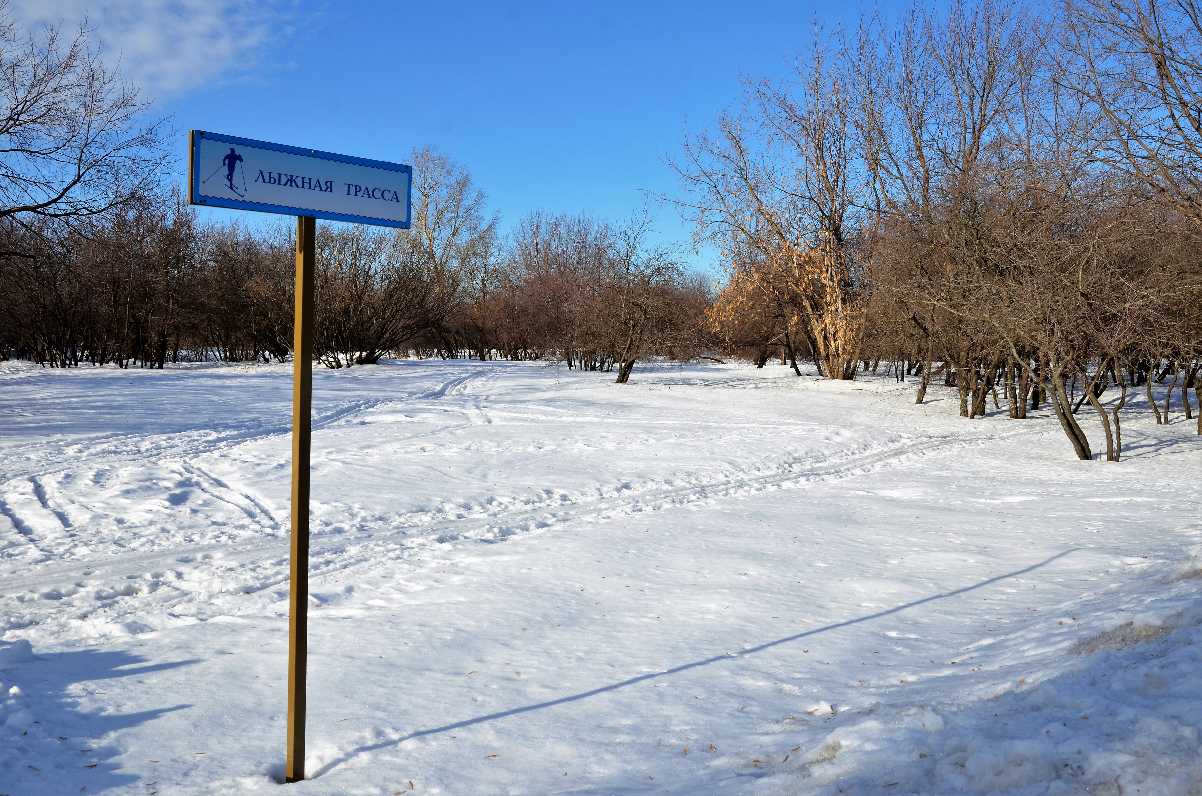 Лыжную трассу обустроят в поселении Роговское