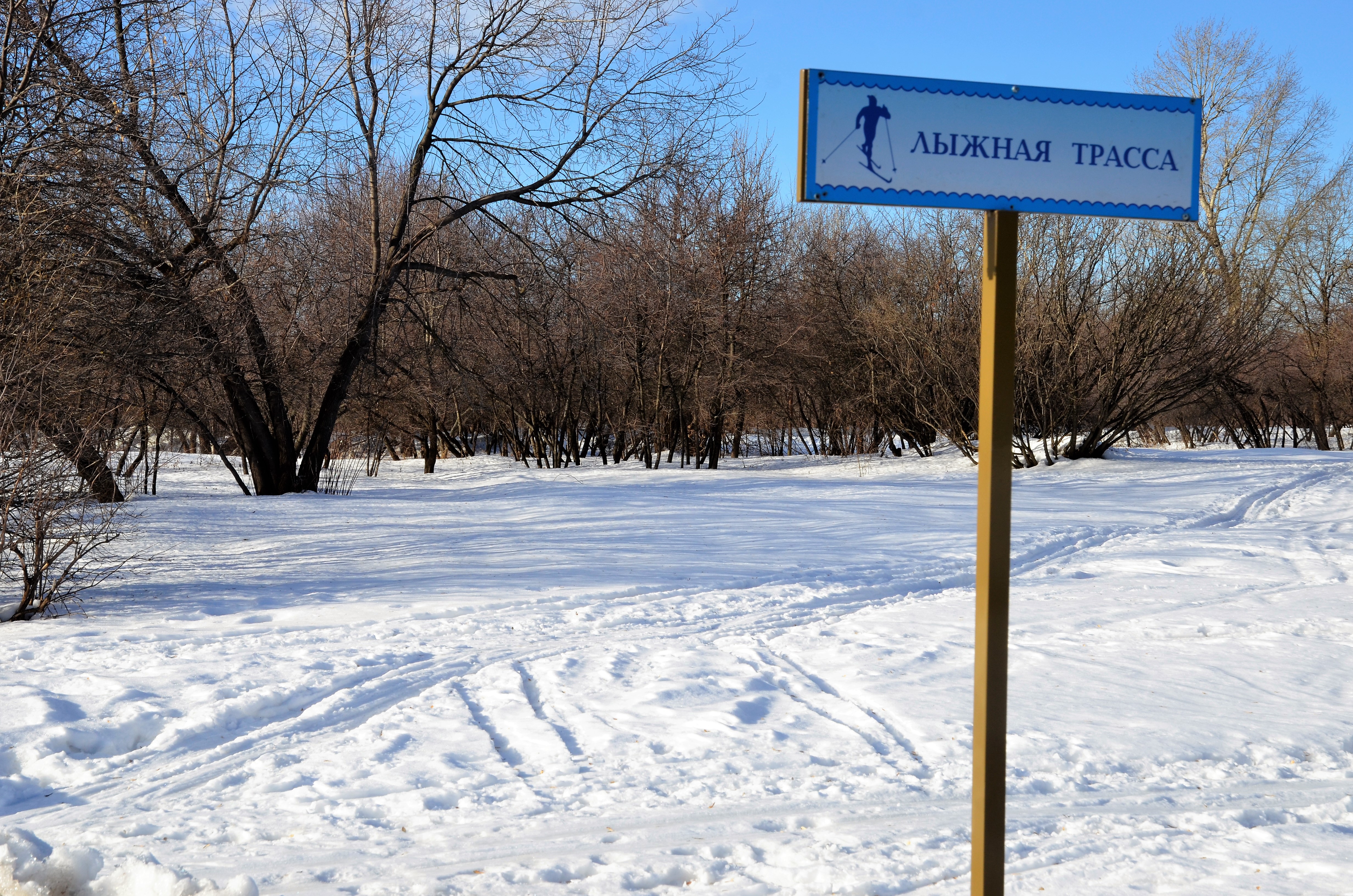 Лыжную трассу обустроили в Десеновском