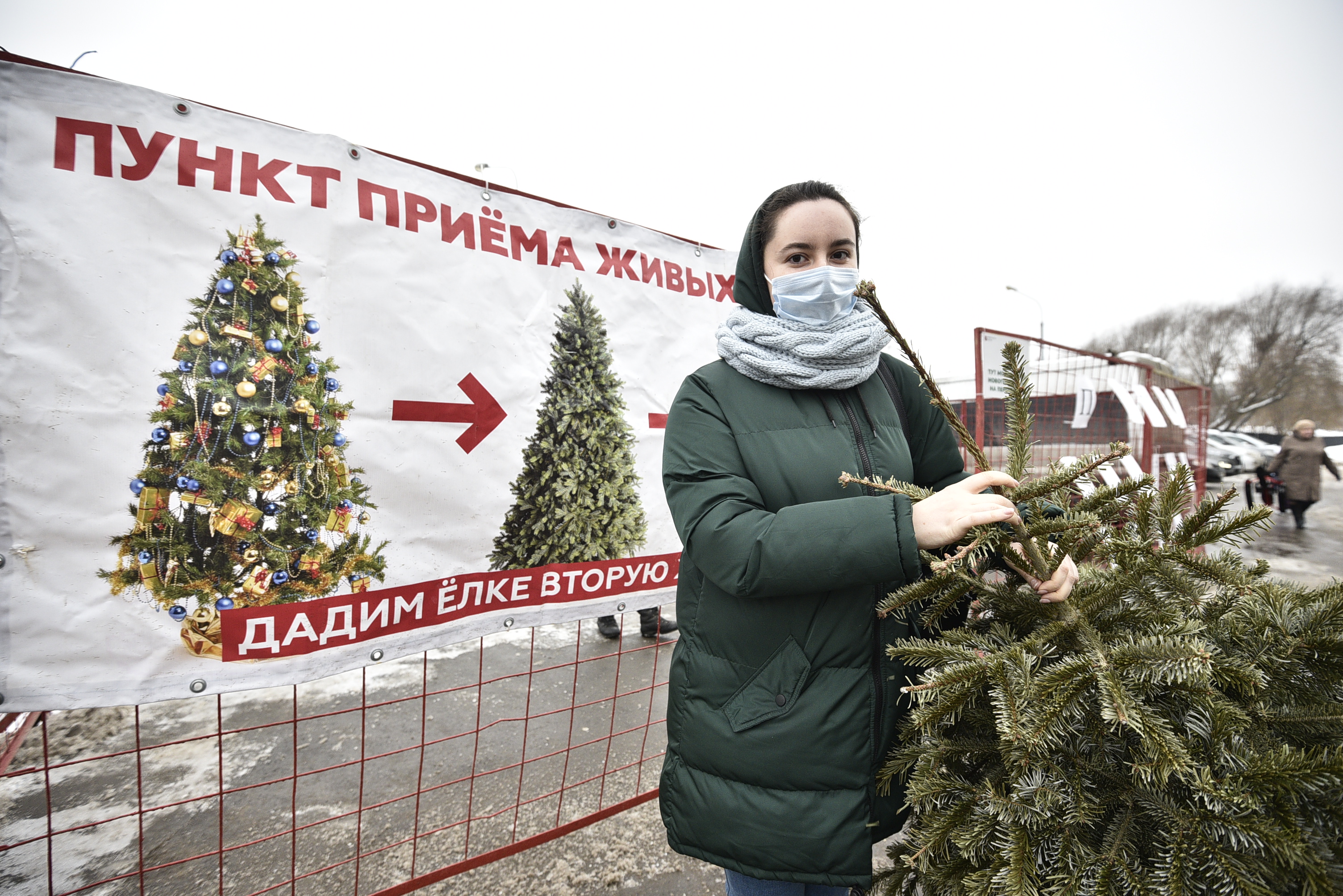 Депутат МГД Бускин: Сдача елок на переработку стала массовым явлением среди жителей столицы