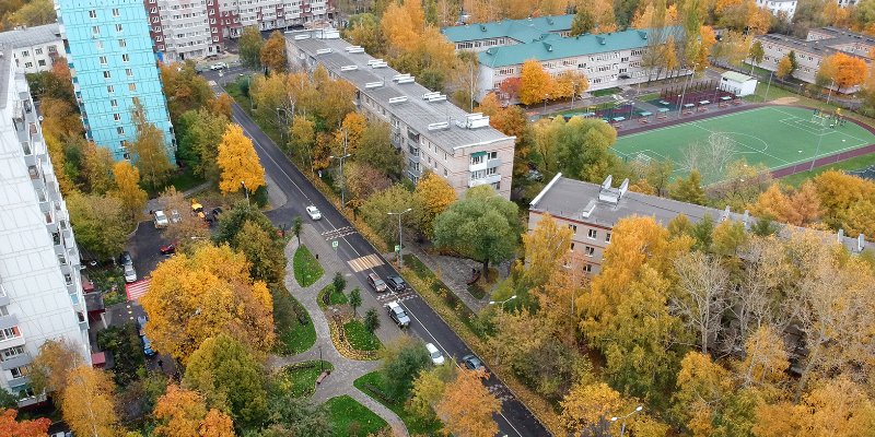 Фасад школы в городском округе Щербинка украсят панно в виде деревьев