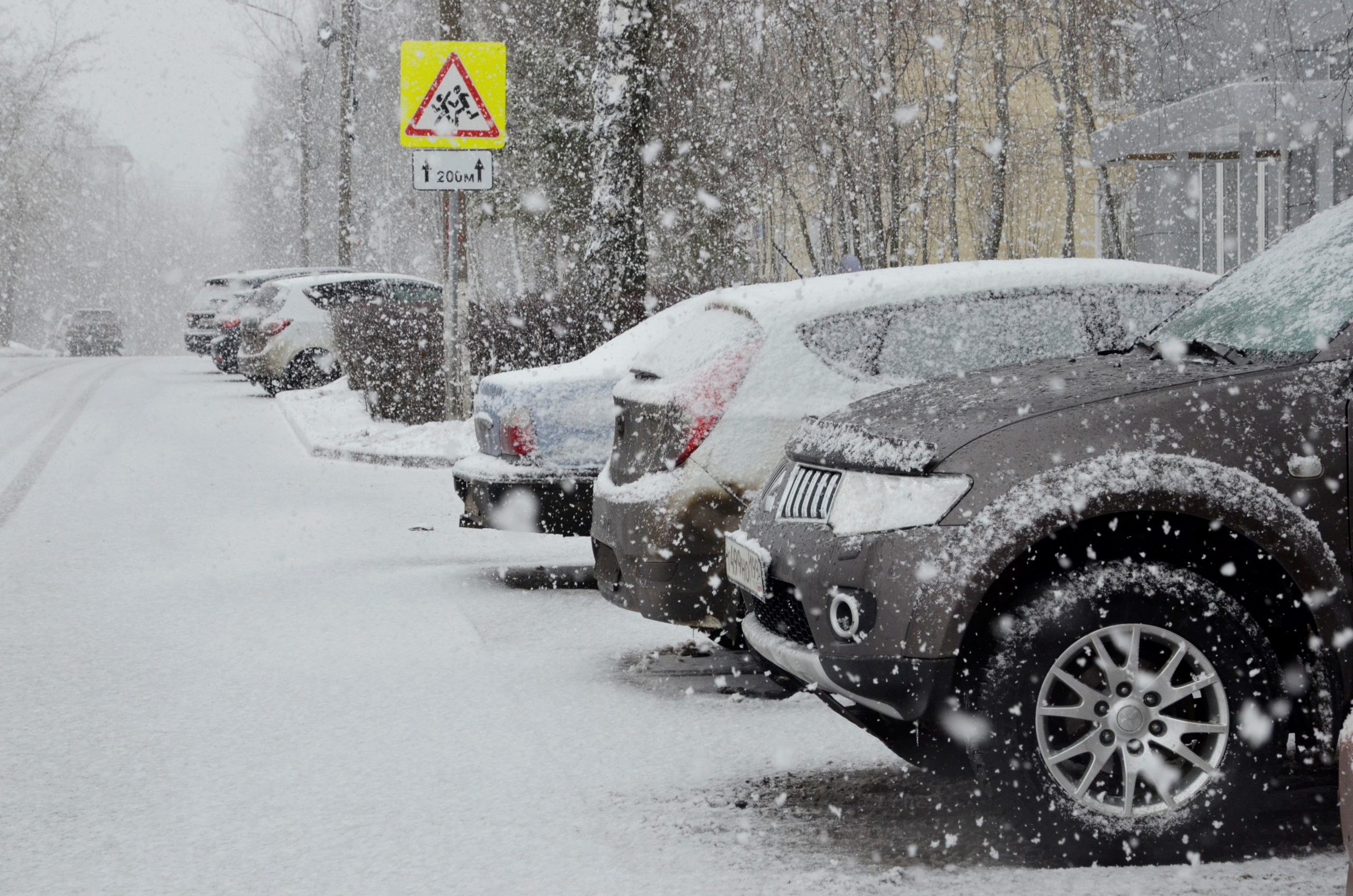 Тестовую вариацию приложения «Парковки Москвы» введут в работу в Санкт-Петербурге