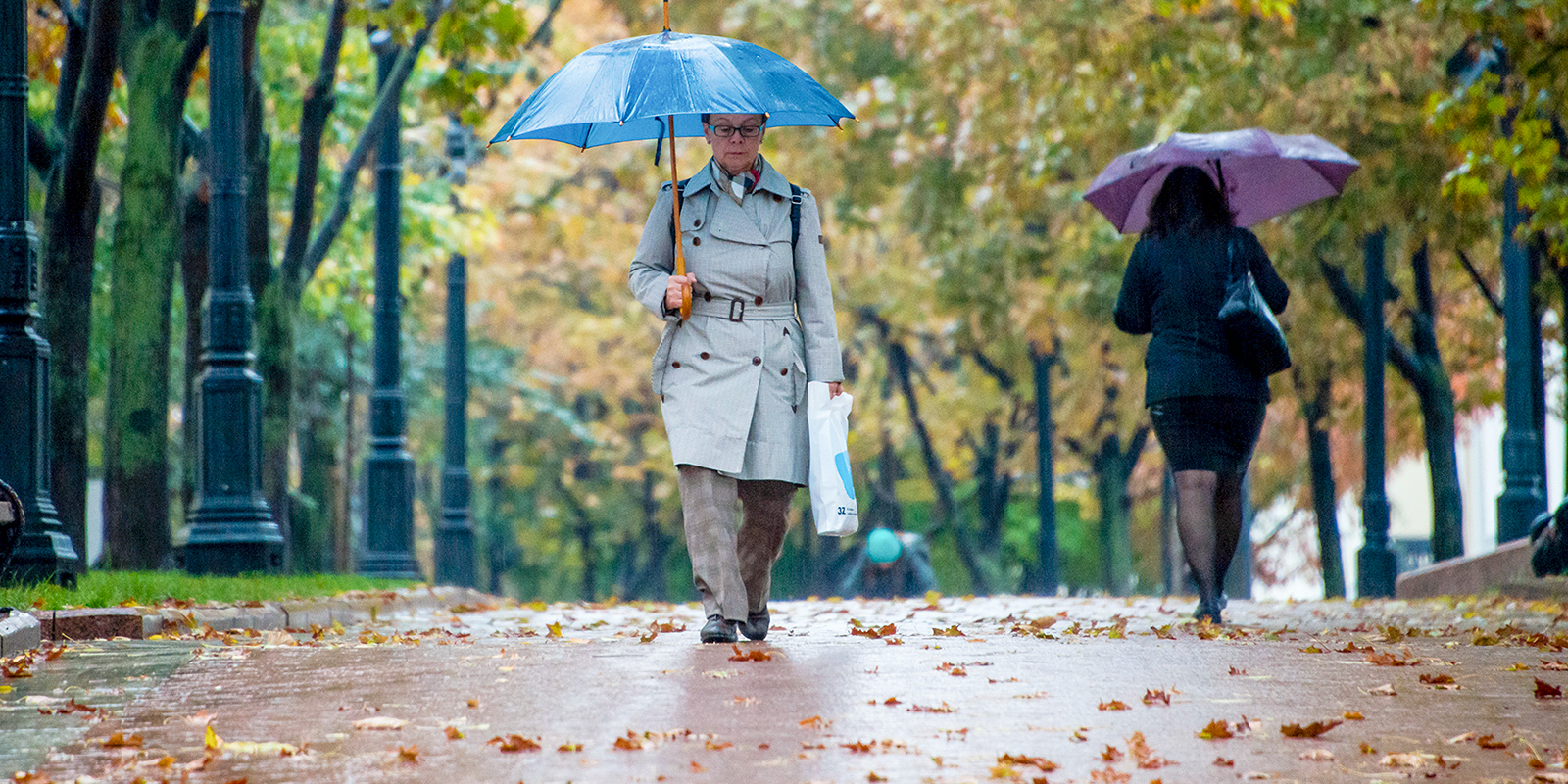 Синоптики спрогнозировали потепление до 18 градусов тепла и дождь в эту субботу в Москве