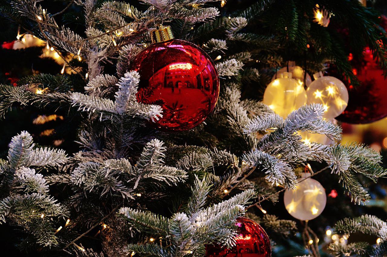 Новогоднюю елку установили в Новофедоровском
