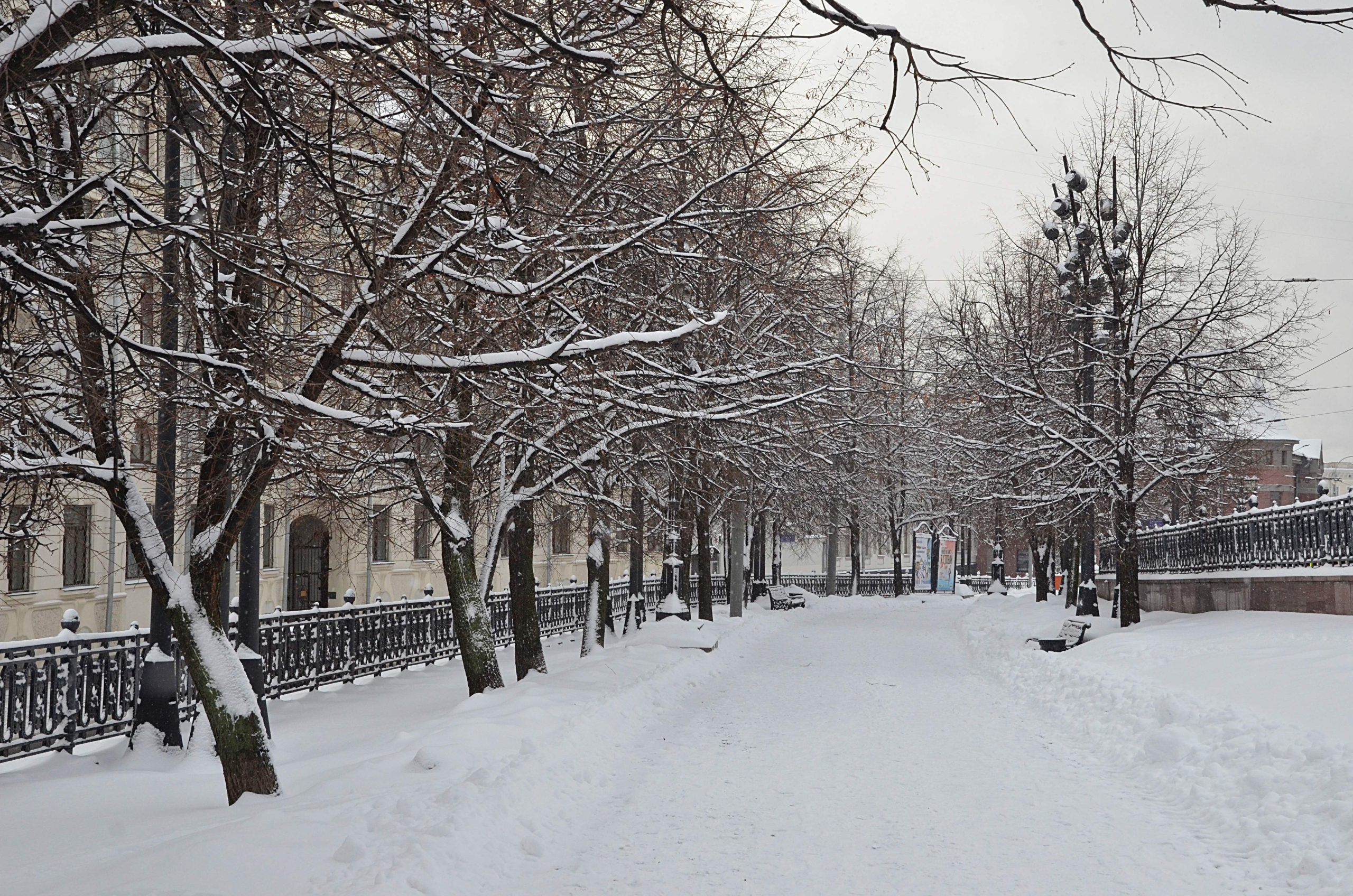 Морозную погоду без осадков пообещали москвичам в воскресенье