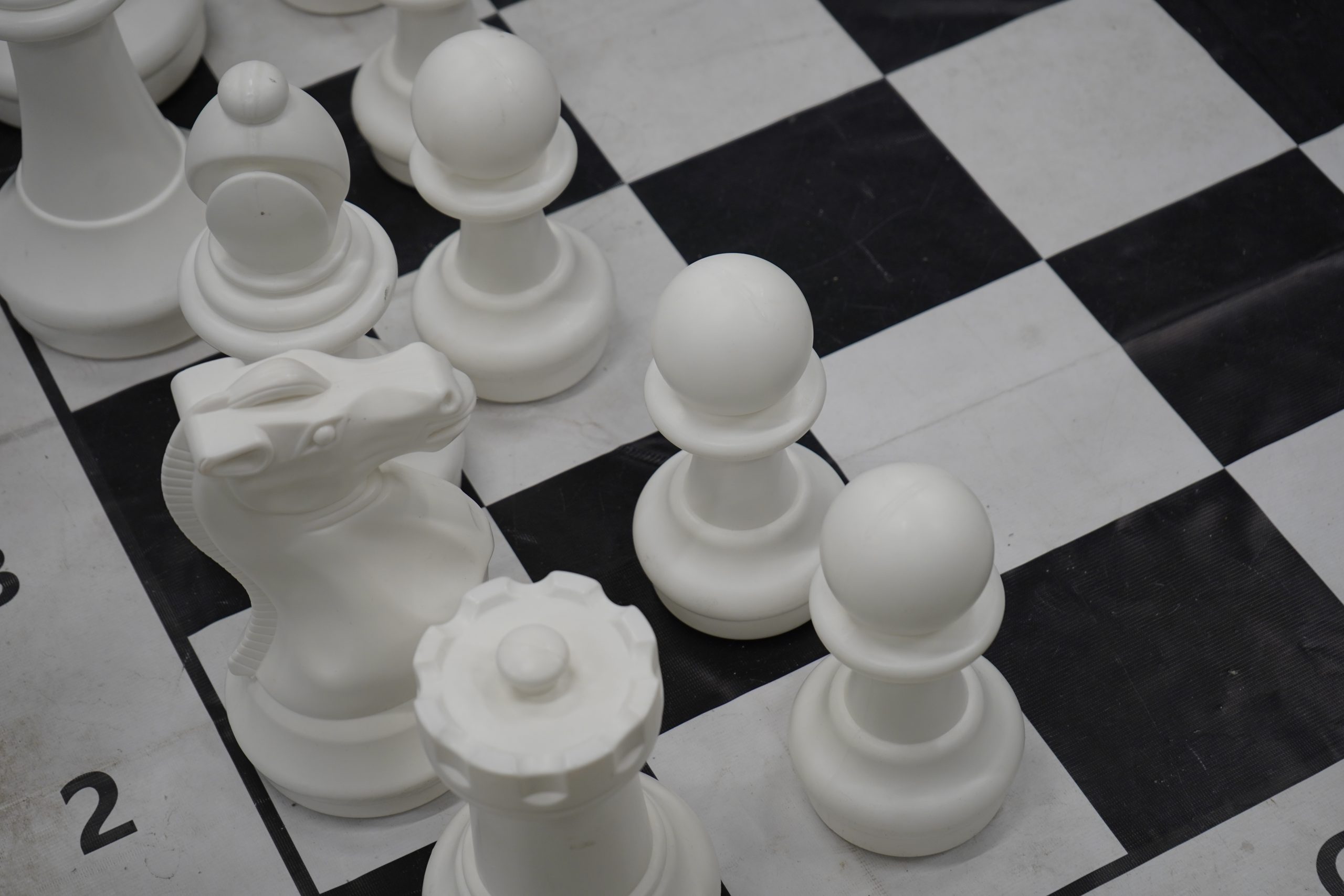 Турнир по шахматам организовали в поселении Новофедоровское