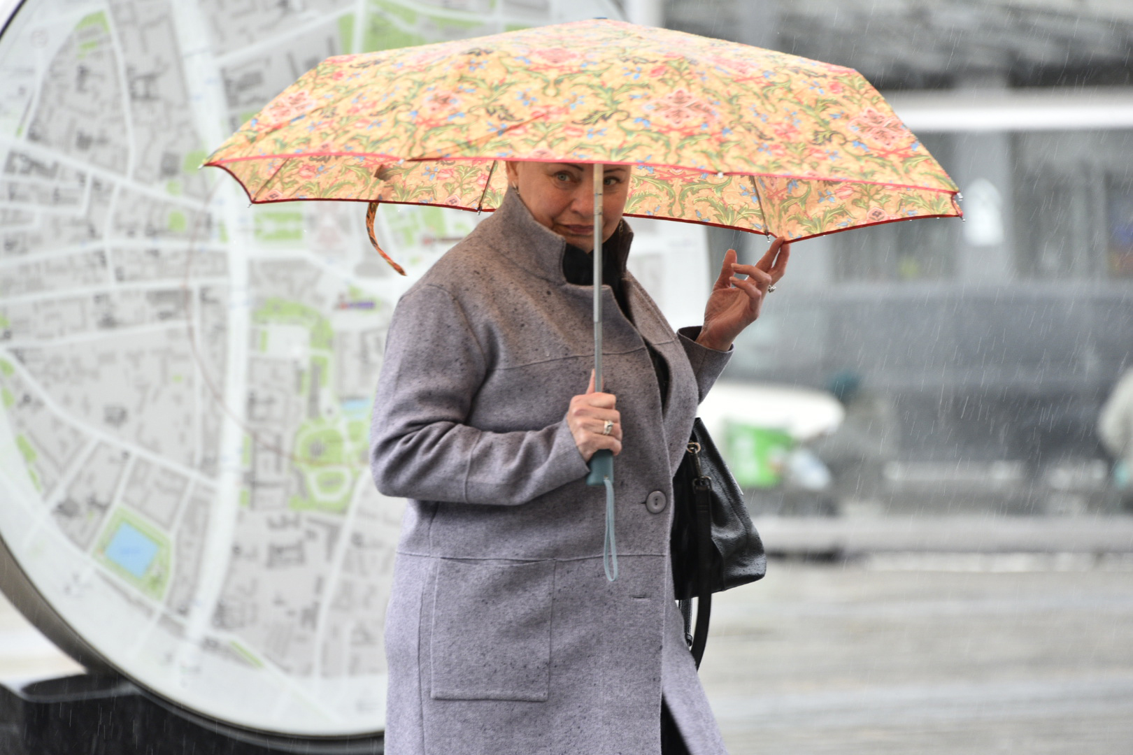 Жителям Москвы сообщили о дождях и грозах в воскресенье
